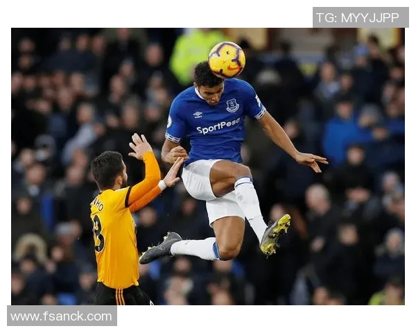 布赖顿与埃弗顿对决前瞻分析及胜负预测解析