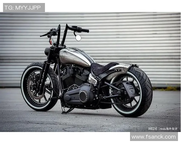 哈雷足球明星阵容揭秘包括哪些知名球员与他们的成就